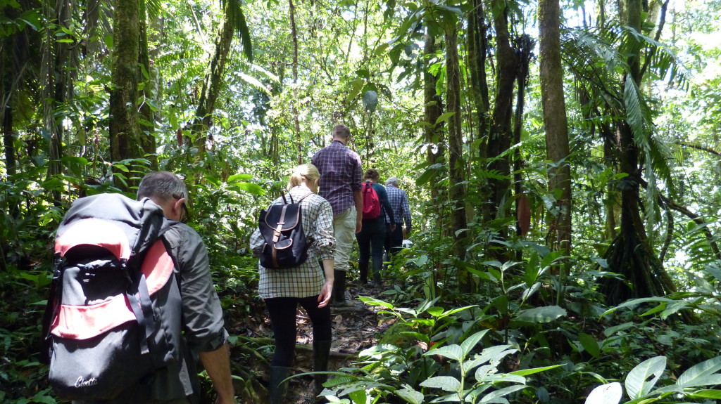 Zu den Programmen der Hakuna Matata Lodge gehören auch Urwaldwanderungen.