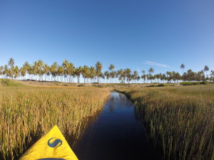 Rio Imbassai Kayak